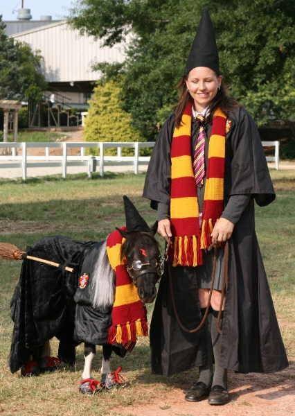 Harry Potter Horse